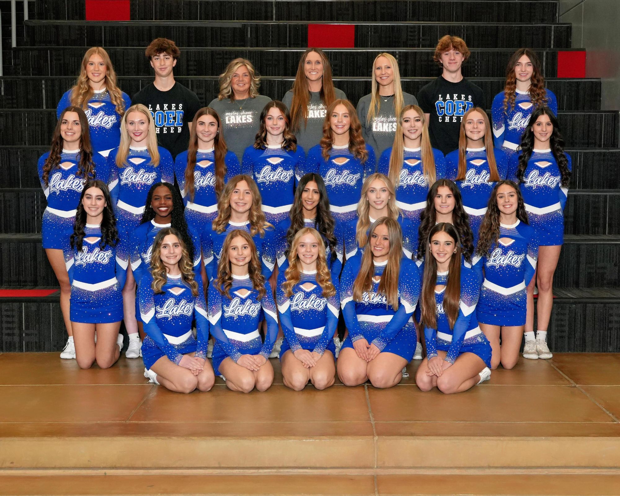 IHSA Team Info — Print